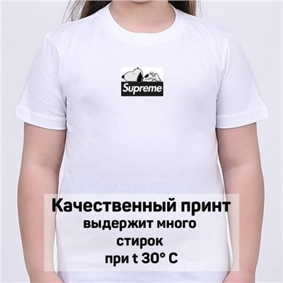 Футболка Supreme арт 10030