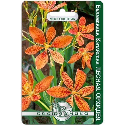 Беламканда китайская или Цветок леопарда Лесная орхидея, уп 6 шт