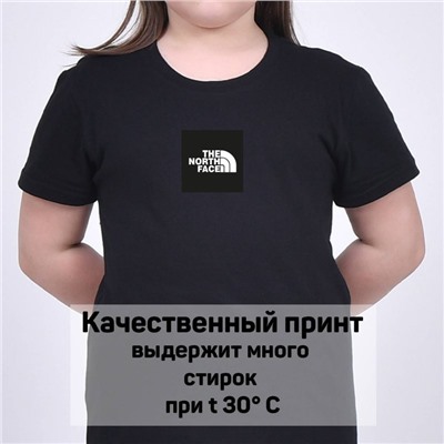 Футболка North Face арт 9766