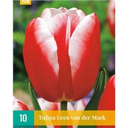Leen Van Der Mark [11/12] 10шт