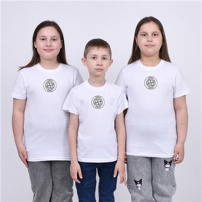 Футболка Stone Island арт 9970