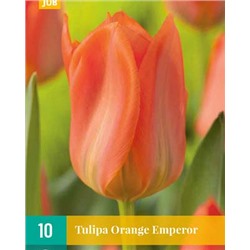 Orange Emperor [11/12] 10шт