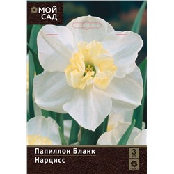 Нарцисс орхидный Папиллон Бланк 2 шт