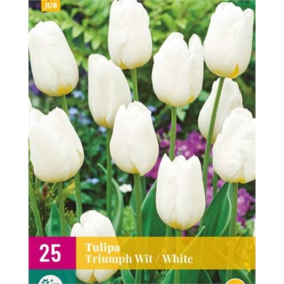 Triumph White / Wit [11/12] 25шт