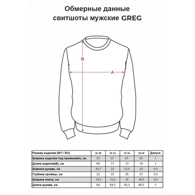 Свитшот мужской GREG G121-California (син.джин.м)