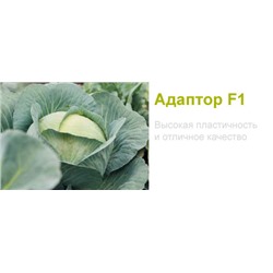 Капуста Адаптор F1, 20 семян