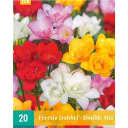 Фрезия Dubbel / Double Mix [5/+] 20шт