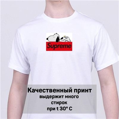 Футболка Supreme арт 9256