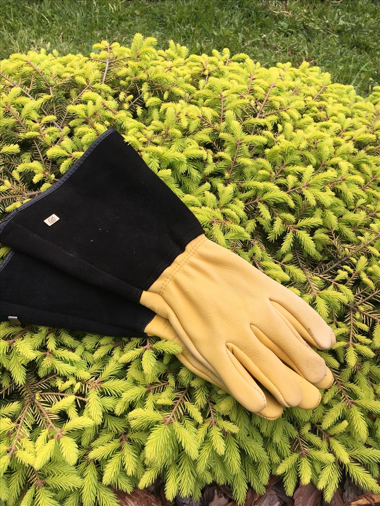  перчатки для роз GOLD LEAF 