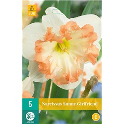 Narcissus Sunny Girlfriend * 12/14 * 5 шт