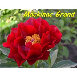 Mackinac Grand
