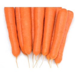 Морковь Октаво F 1