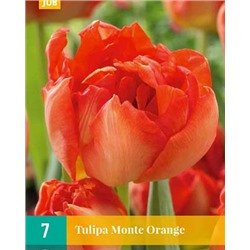 Monte Orange [11/12] 7шт
