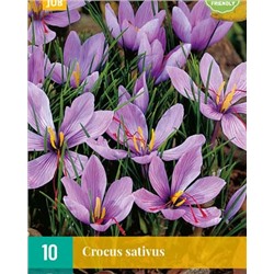 sativus [8/10] 10шт