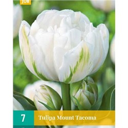 Mount Tacoma [11/12] 7шт