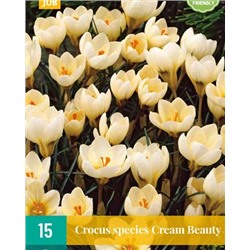 Cream Beauty [5/+] 15шт