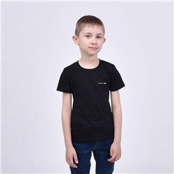 Футболка Lacoste арт 8509