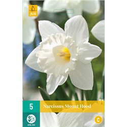Narcissus Mount Hood * 12/14 * 5 шт