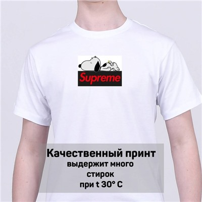 Футболка Supreme арт 9254