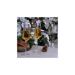 16413 FISSMAN Бокал для шампанского 250мл (стекло)