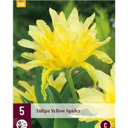 Yellow Spider Exclusive [12/+] 5шт