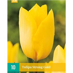 Strong Gold [11/12] 10шт