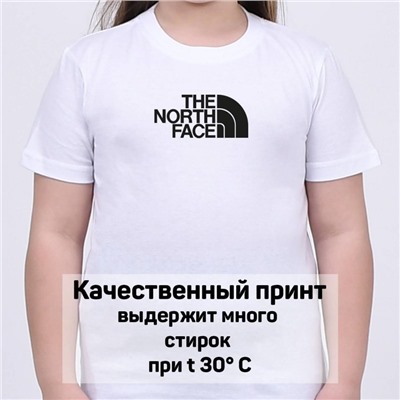 Футболка North Face арт 10143