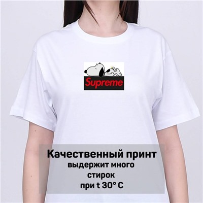 Футболка Supreme арт 9513