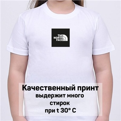 Футболка North Face арт 10025