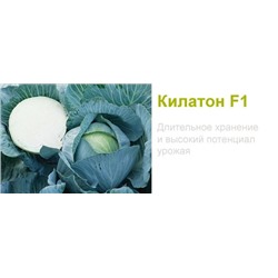 Капуста Килатон F1, 20 семян