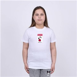 Футболка Supreme арт 9971