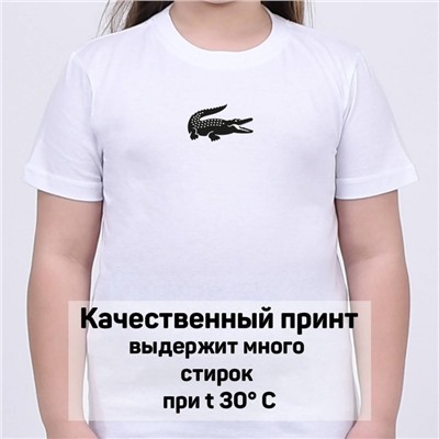 Футболка Lacoste арт 10024