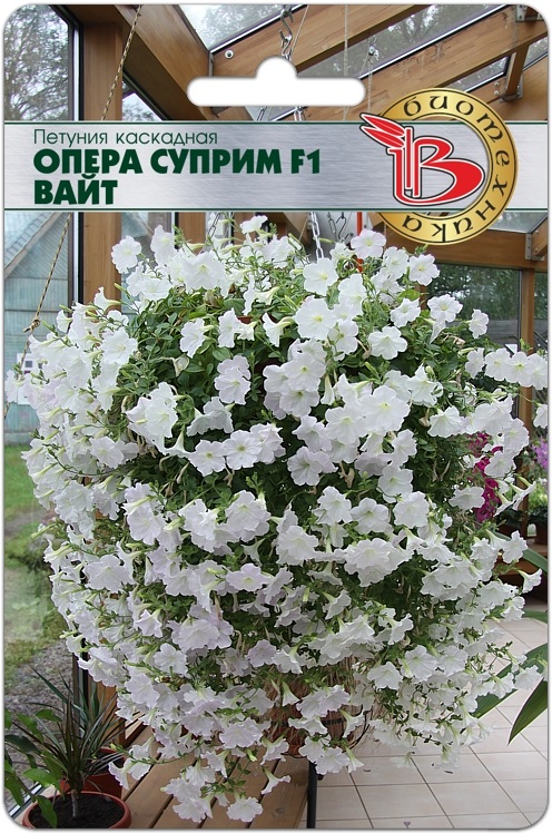 Петуния серии опера фото