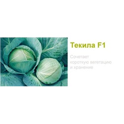 Капуста Текила F1, 10 семян