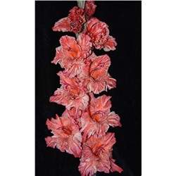Гладиолус крупноцветковый Муаровый Иней