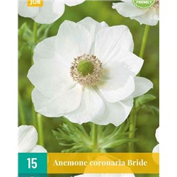 Coronaria Bride [5/6] 15шт