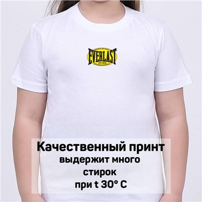 Футболка Everlast арт 10001