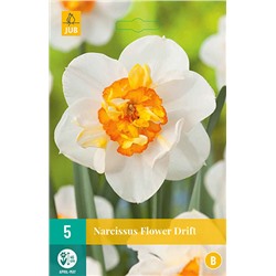 Narcissus Flower Drift * 12/14 * 5 шт